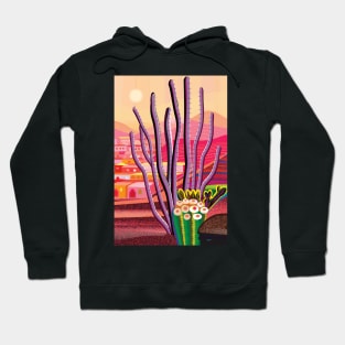 Ocotillo Hoodie